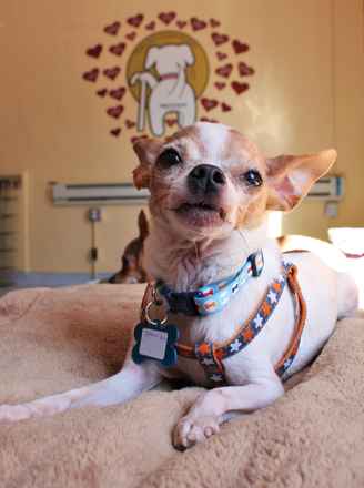 JD and Little Girl ,