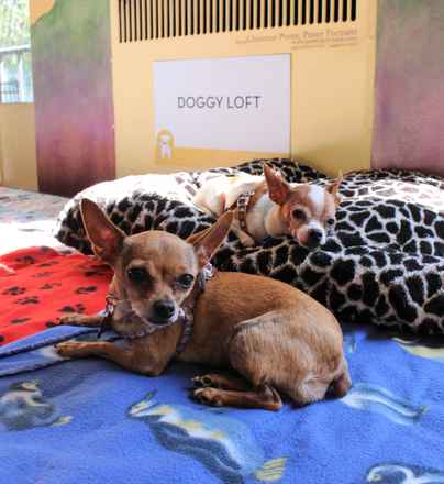 JD and Little Girl ,