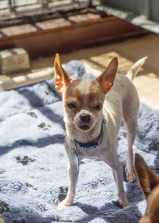 JD and Little Girl ,