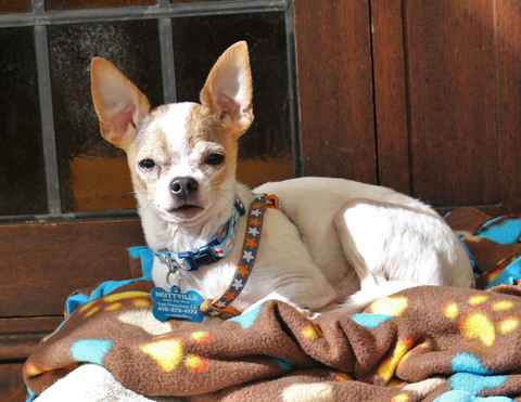 JD and Little Girl ,