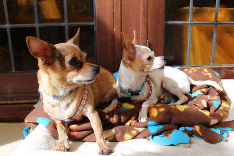 JD and Little Girl ,