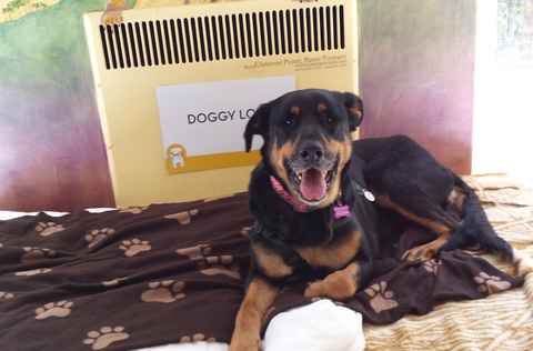 Catherine Zeta-Jones