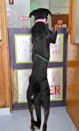 Catherine Zeta-Jones