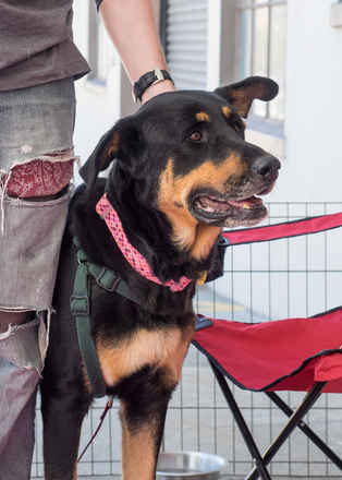 Catherine Zeta-Jones