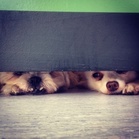 Ingrid and Tinx