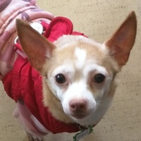 Nikita