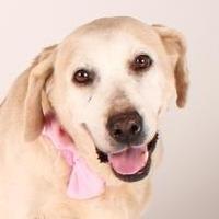 Abby