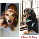 Toby and Chloe