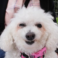 Lola