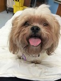 Roxy