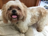 Roxy