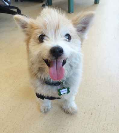 Leela “Lee Lee” Devine (fka Yummy)