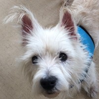 Wilma