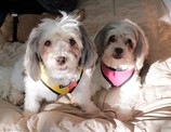 Samantha & Sabrina