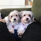 Samantha & Sabrina