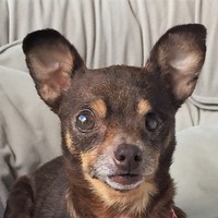 Tula