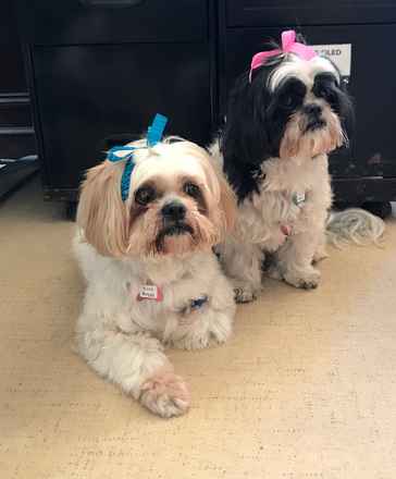 Goldie Hawn & Kurt Russell