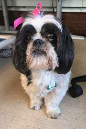 Goldie Hawn & Kurt Russell