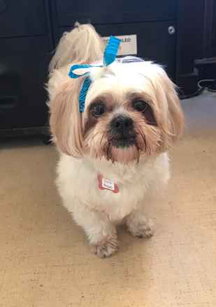 Goldie Hawn & Kurt Russell