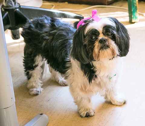 Goldie Hawn & Kurt Russell