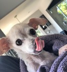 Keyta