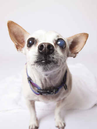 June Carter Cash & Diana Ross