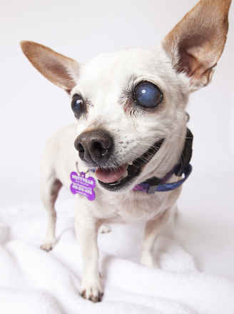 June Carter Cash & Diana Ross