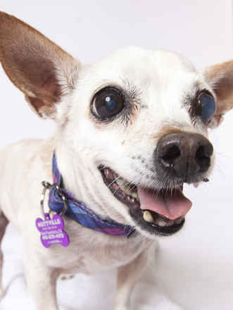 June Carter Cash & Diana Ross