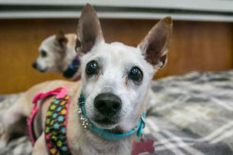 June Carter Cash & Diana Ross