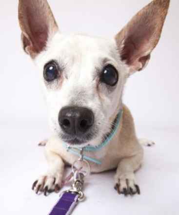 June Carter Cash & Diana Ross