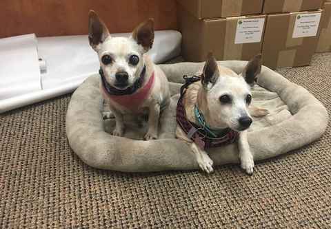 June Carter Cash & Diana Ross