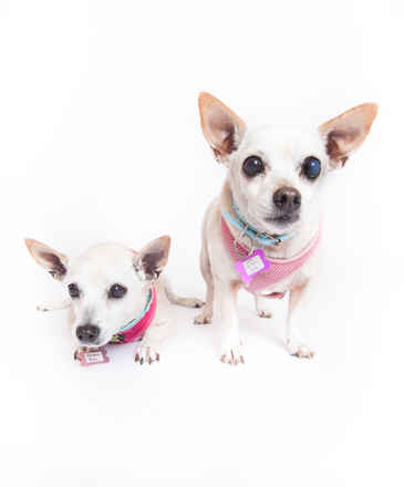 June Carter Cash & Diana Ross