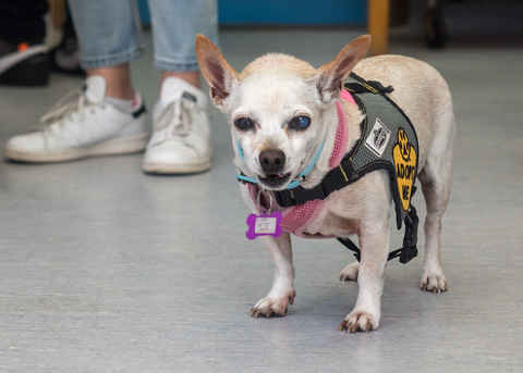 June Carter Cash & Diana Ross