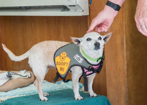 June Carter Cash & Diana Ross