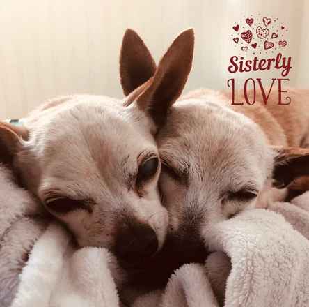 June Carter Cash & Diana Ross