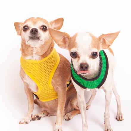 Peanut Butter & Jelly