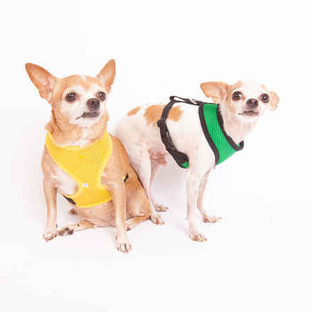 Peanut Butter & Jelly