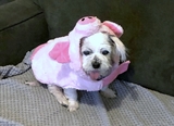 Sally Brown