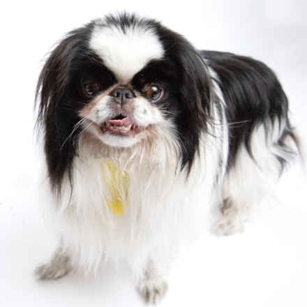 Rick Flare & Claudia Schiffer