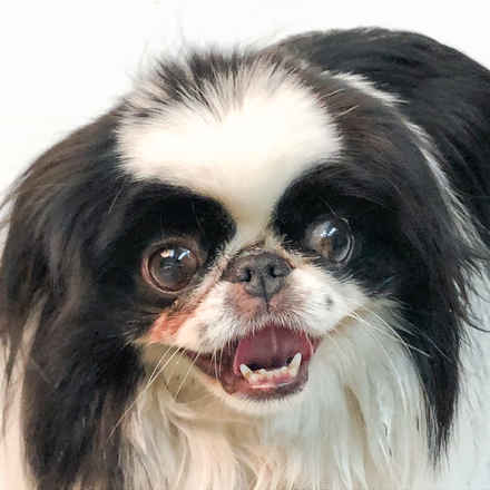 Rick Flare & Claudia Schiffer