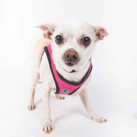 Pepperoncini & Mirasol