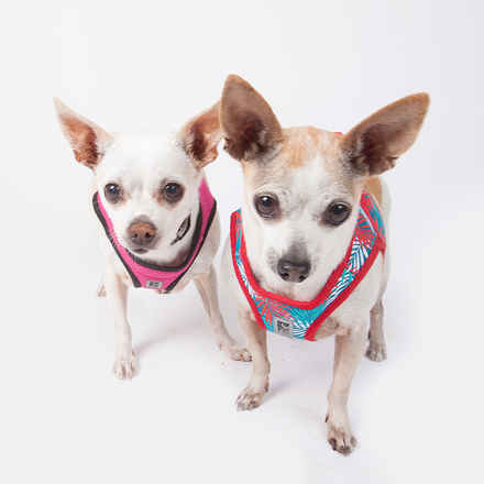 Pepperoncini & Mirasol