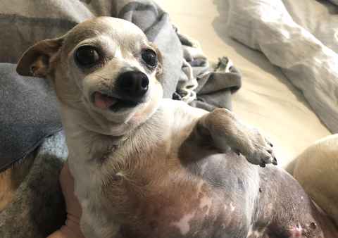 Pepperoncini & Mirasol