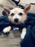 Tina