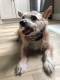 Tina