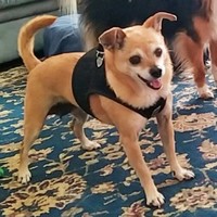 Nilla