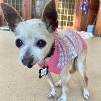Peggy