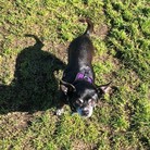 Teagan
