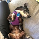 Teagan