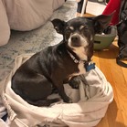 Teagan